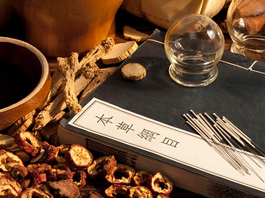 Traditional Chinese medicine herbs for seasonal wellness and TCM guide